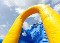 Colorful Inflatable Slide Rental Lovely Carton Bouncer Slide For Sale